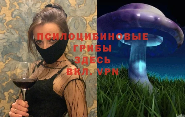 дурь Балахна