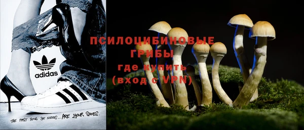 ALPHA PVP Баксан