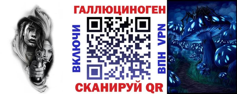Псилоцибиновые грибы Psilocybine cubensis Гдов
